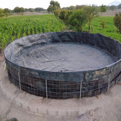 Double Smooth Surface HDPE Geomembrane Waterproof for Waterproofing Pe Pool Membrane