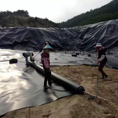 Graphic Design Capability 100% Virgin HDPE Geomembrane for Build Fish and Shrimp Pond