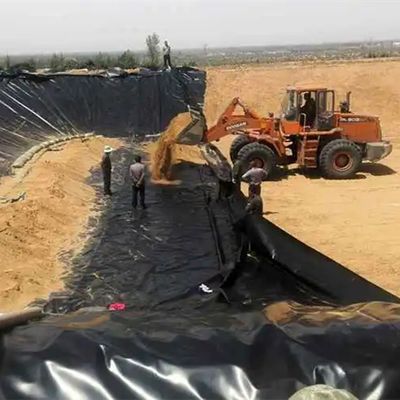 Graphic Design Capability 100% Virgin HDPE Geomembrane for Build Fish and Shrimp Pond
