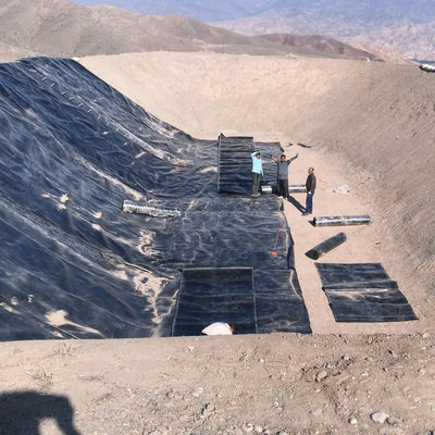 Graphic Design Capability 100% Virgin HDPE Geomembrane for Build Fish and Shrimp Pond