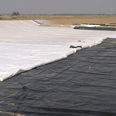 Double smooth surface 1mm HDPE geomembrane for shrimp farm pond liner installation