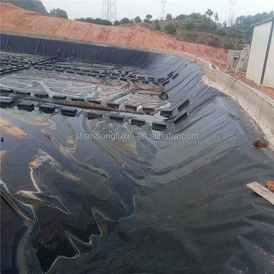Project Solution Capability HDPE Geomembrane Pond Liner for Fish Shrimp Farming