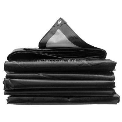 Marine Canvas Fabric Poly Tarps Covers Plastic Tarpaulin Sheeting Rolls for Versatile