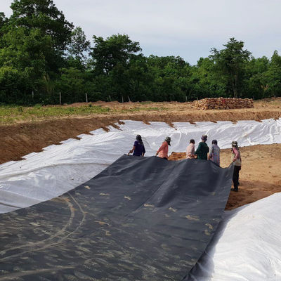 Double Smooth Surface HDPE Geomembrane Dam Liner for Sunscreen and Waterproofing