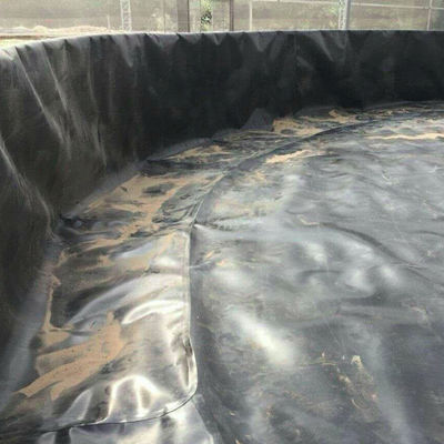 Double Smooth/Texture HDPE Geomembrane for High Density Polyethylene Fish Farm Pond