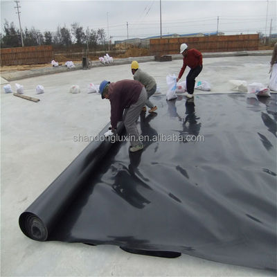1m-8m Width HDPE Geomembrane for Onsite Installation in Aquaculture Biogas Digester