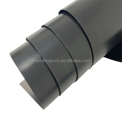 1m-8m Width HDPE Geomembrane for Onsite Installation in Aquaculture Biogas Digester