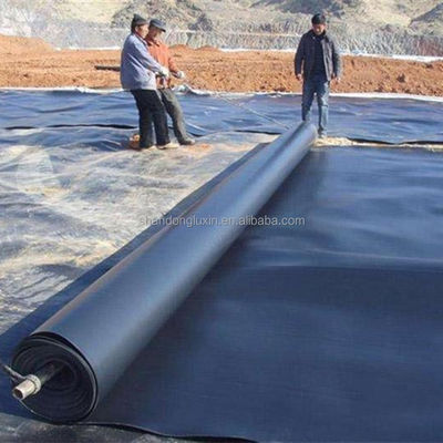 2mm PE Geomembrane Liner in Black or Customized Color for Project Solution Capability