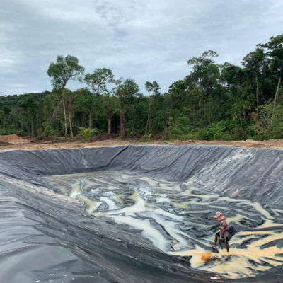 2mm PE Geomembrane Liner in Black or Customized Color for Project Solution Capability