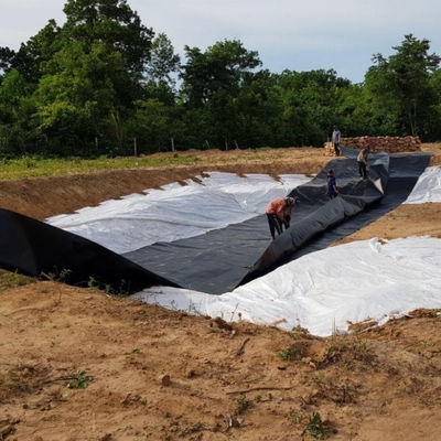 HDPE Geomembrane Dam Liner for Total Solution Projects Online Technical Support