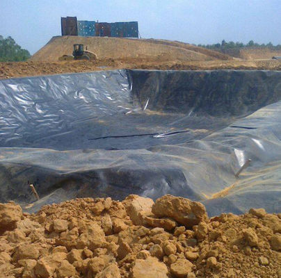 Industrial Design Style 1mm HDPE Geomembrane with Double Smooth Surface and Double Texture
