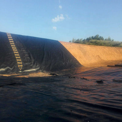 Industrial Design Style 1mm HDPE Geomembrane with Double Smooth Surface and Double Texture