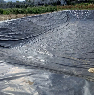 Industrial Design Style 1mm HDPE Geomembrane with Double Smooth Surface and Double Texture