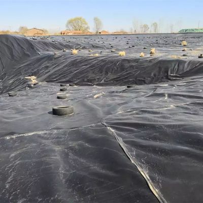 HDPE Geomembrane for Water Harvesting Structure 1.5mm 1.0mm 0.75mm 0.5mm Width 1m-8m