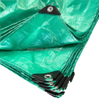 High Density Polyethylene Custom Tarpaulin Sheet for Water Tank Customized Roll Pe
