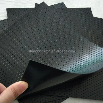 Outdoor HDPE Geomembrane Impermeable Membrane for Geosynthetic Materials LDPE EVA