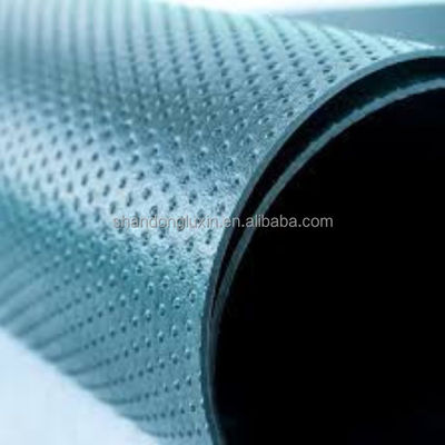 Outdoor HDPE Geomembrane Impermeable Membrane for Geosynthetic Materials LDPE EVA
