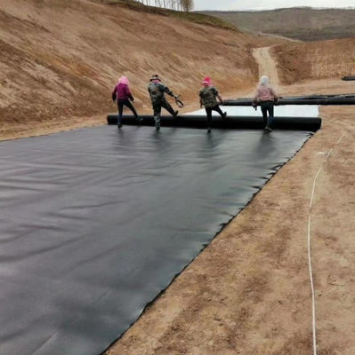 Large Plastic Fish Pond Liner HDPE Geomembrane for Landfill Black or as Request