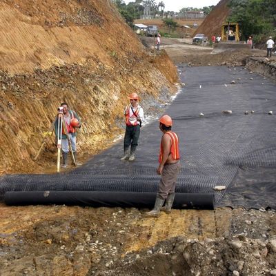 Large Plastic Fish Pond Liner HDPE Geomembrane for Landfill Black or as Request