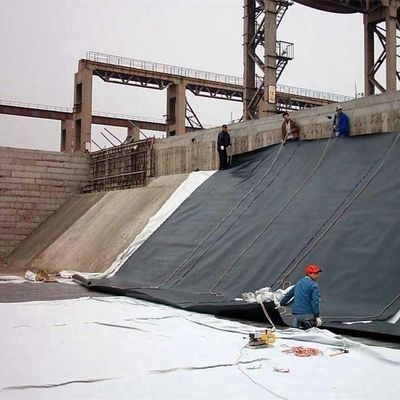 Large Plastic Fish Pond Liner HDPE Geomembrane for Landfill Black or as Request