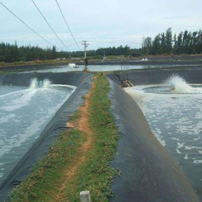 Direct Project Solution Capability Graphic Design Geomembrane for Landfill Site Black