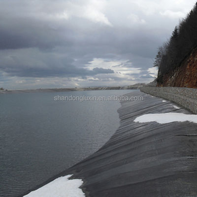 HDPE Geomembrane Fish Pond Liner for Dam Width 1m-8m Project Solution Capability Others
