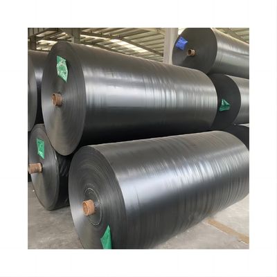 Waterproof and Sunlight Blocking Tarpaulin for Trucks 3x4m 4x5m 4x6m Density 8*8-14*14