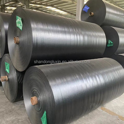 Waterproof and Sunlight Blocking Tarpaulin for Trucks 3x4m 4x5m 4x6m Density 8*8-14*14