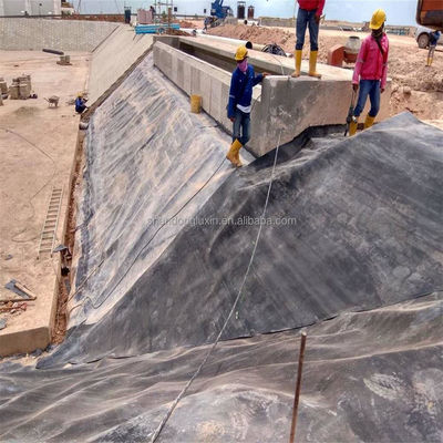 1m-8m Width HDPE Geomembrane Pond Liner for Mining Reservoir Dam Fish Pond Shrimp Farm