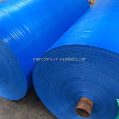 Rainproof and Moisture-proof Polyethylene Tarpaulin Width 2-11m Density 8*8-14*14