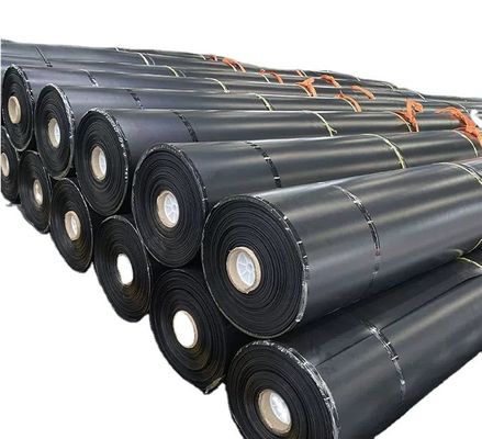 Modern Design ISO9001 Geomembrane for Fish Pond Lining and Tailings Dam Direct Sales