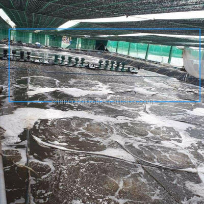 1-6m Width Geomembrane for Outdoor Fish Ponds Prefabricated Acid Alkali Resistant