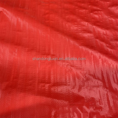Waterproof and Tear Resistant Pe Tarpaulin 20x30 30x50 40x60 Sizes for Multiple Uses