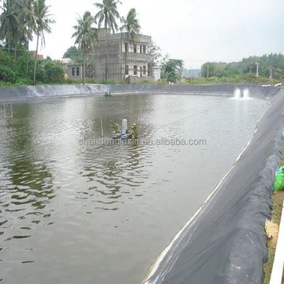 Environmentally Friendly HDPE Black Geomembrane for Fish Ponds ASTM GRI-GM13 Standard