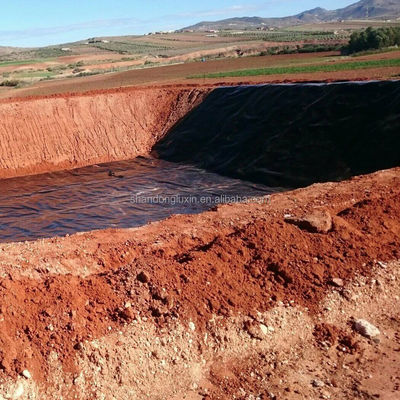 Environmentally Friendly HDPE Black Geomembrane for Fish Ponds ASTM GRI-GM13 Standard