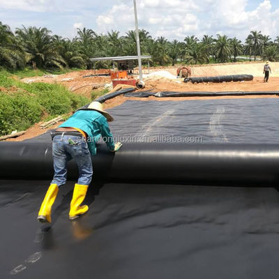 Geomembranes Project Solution Capability Durable Prefabricated Smooth for Fish Ponds