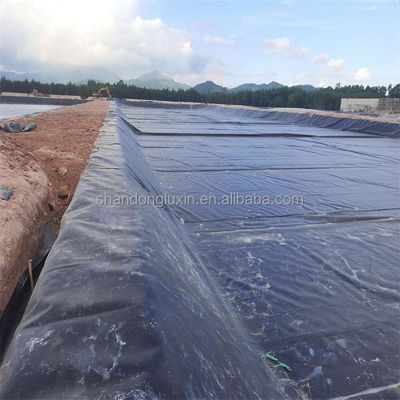 Geomembranes Project Solution Capability Durable Prefabricated Smooth for Fish Ponds
