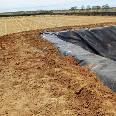 1mm 2mm Tear Resistant HDPE Geomembrane for Acid and Alkali Resistant Fish Pond Lining