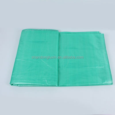 PE Scaffold Sheeting Tarp for Construction Building Wrap 500D-1500D Yarn Count Anti-UV