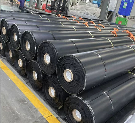 High Density Polyethylene EVA Geomembrane 1mm and 2mm Thickness for Fish Ponds Landfill