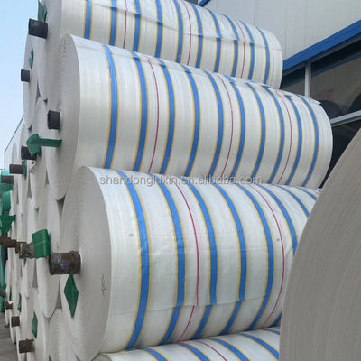 Customized Color PE Tarpaulin Waterproof Dust-proof Rainproof Moisture-proof for Cars