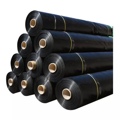 ASTM GRI-GM13 Standard High Density Polyethylene EVA Geomembrane for Fish Ponds in Bulk