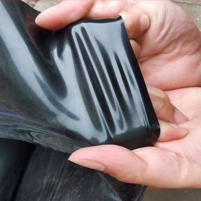 HDPE Geomembranes for Fish Ponds and Biogas Digesters Width 1-6m Double Smooth Surface