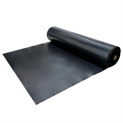 HDPE Geomembranes for Fish Ponds and Biogas Digesters Width 1-6m Double Smooth Surface