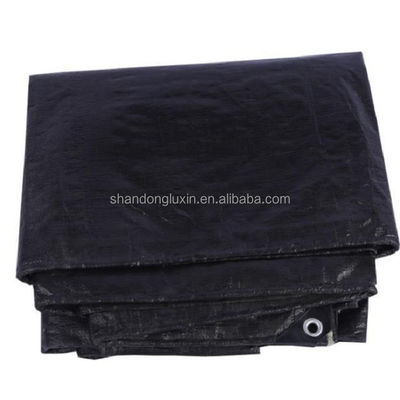 Double Faced Pe Tarpaulin Trucking Covering Tarpaulin Roll Other Fabric Width 2-12m