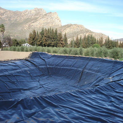 Modern Design Geomembrane for Fish Ponds Smooth and Long-Lasting