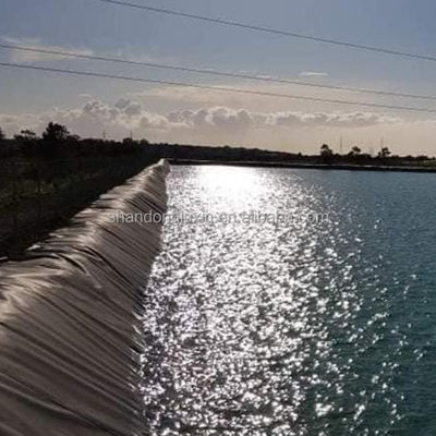 Modern Design Geomembrane for Fish Ponds Smooth and Long-Lasting