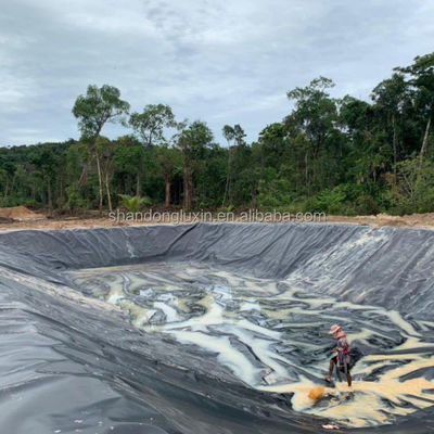 Modern Design Geomembrane for Fish Ponds Smooth and Long-Lasting