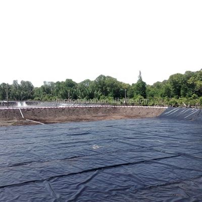 Double Smooth Surface Geomembrane 1mm 2mm for Environmentally Friendly Landfill Sites
