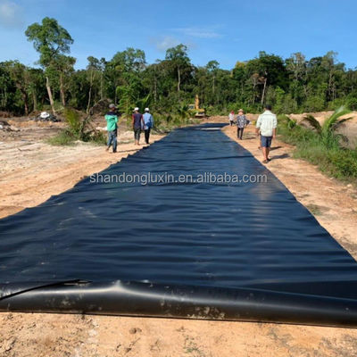 Double Smooth Surface Geomembrane 1mm 2mm for Environmentally Friendly Landfill Sites